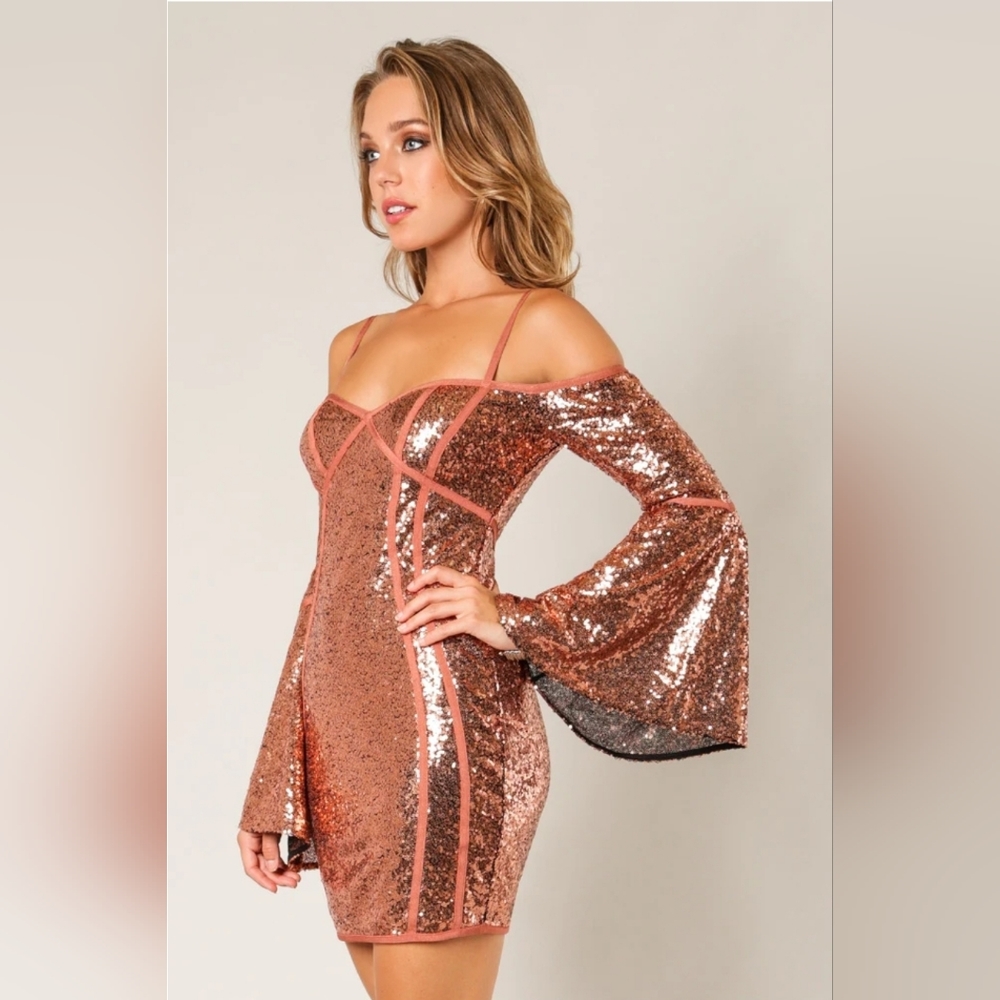 Fashion Nova Sequin Mini Dress